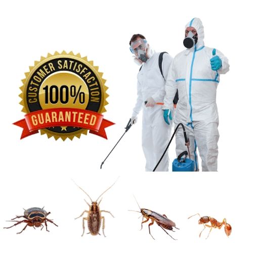 Pest Control Delhi NCR