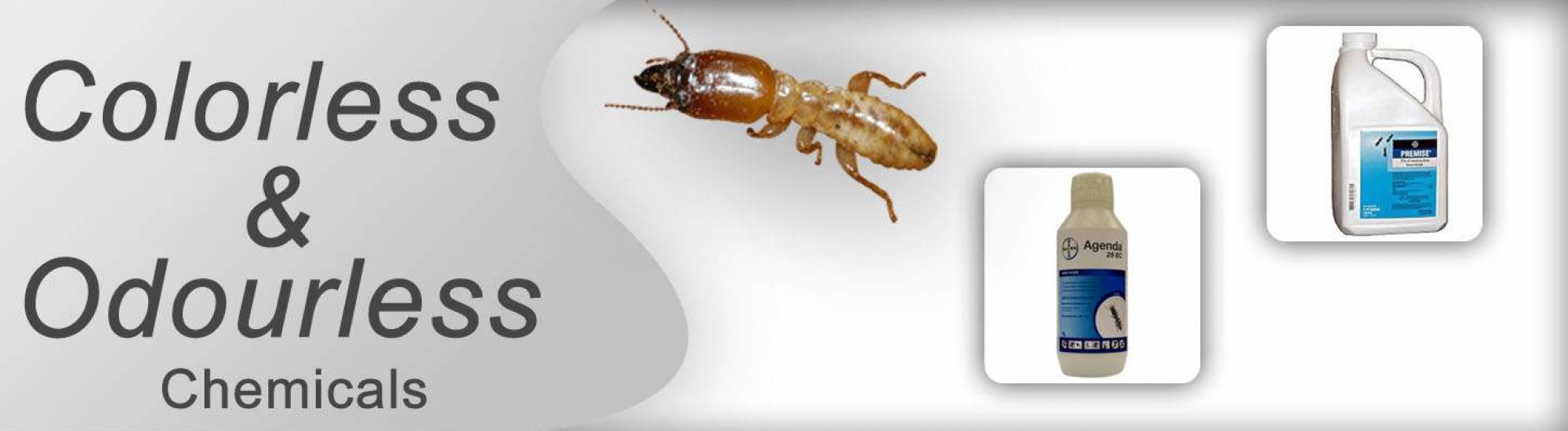 Termite Pest Control Delhi